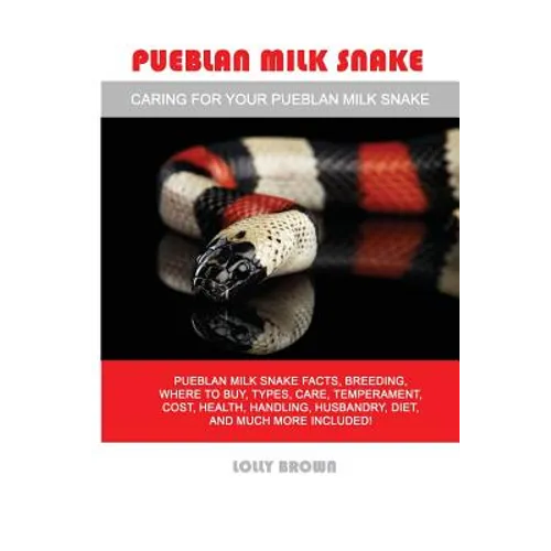 Pueblan Milk Snake by Lolly Brown