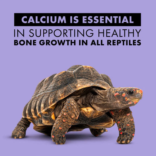 Zilla Food Calcium Supplement Spray (8 oz)